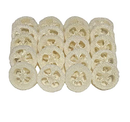 2cm Natural Loofah Cuts Loofah Slices for Soap Making or Soap Dish Pack of 20