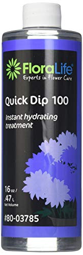 Floralife Smither Oasis Quick Dip 100 Instant Hydrating Treatment, 16 Ounce